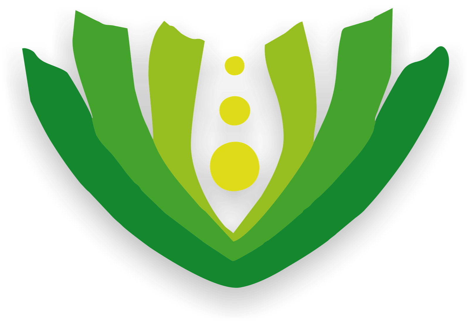 Escudo Varela